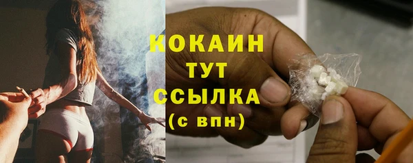 Альфа ПВП Бородино