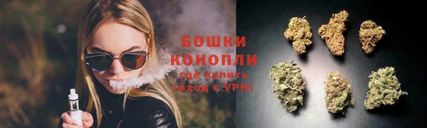 Альфа ПВП Бородино