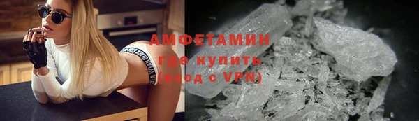 спиды Богданович