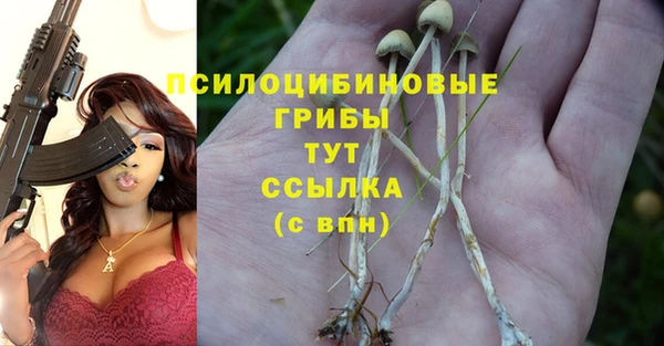 PSILOCYBIN Верхний Тагил