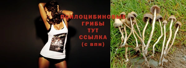 не бодяженный Бугульма